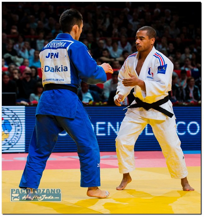 Paris 2014 by P.Lozano cat -66 kg_PLM1641